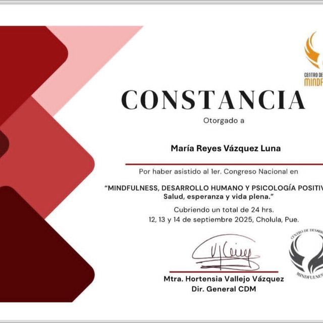 Ampliar imagen: certificate 2