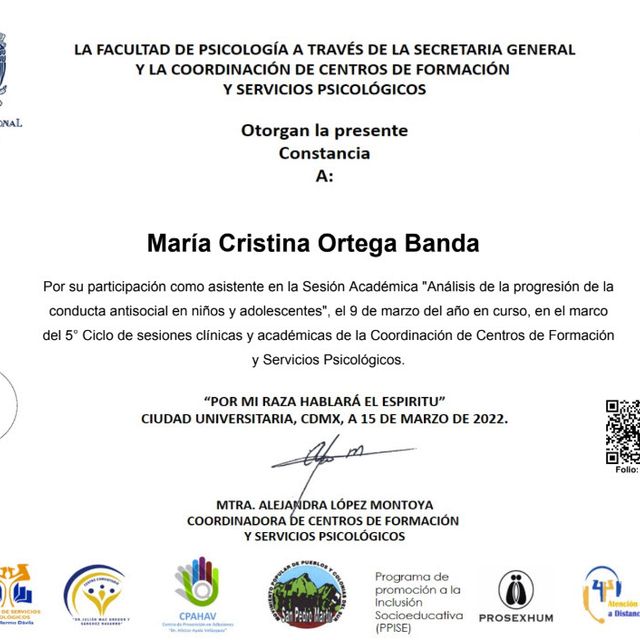Ampliar imagen: certificate 3
