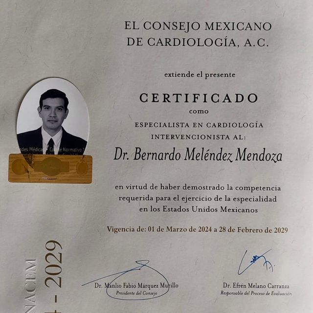 Ampliar imagen: certificate 3