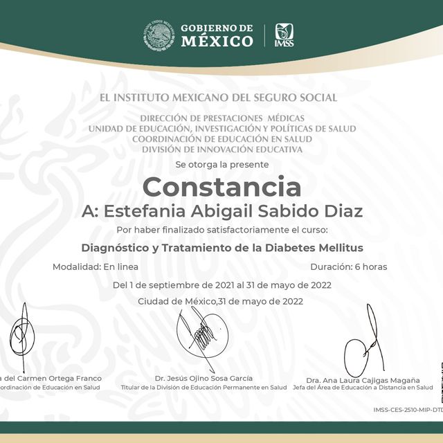 Ampliar imagen: certificate 7