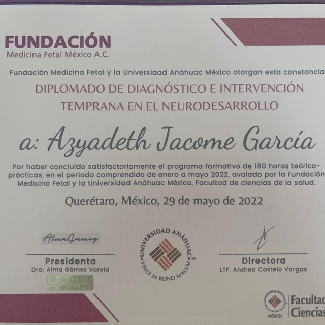 Ampliar imagen: certificate 1