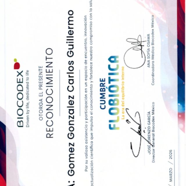 Ampliar imagen: certificate 41