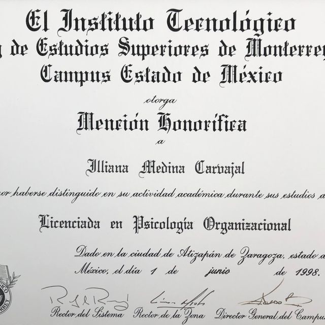 Ampliar imagen: certificate 1