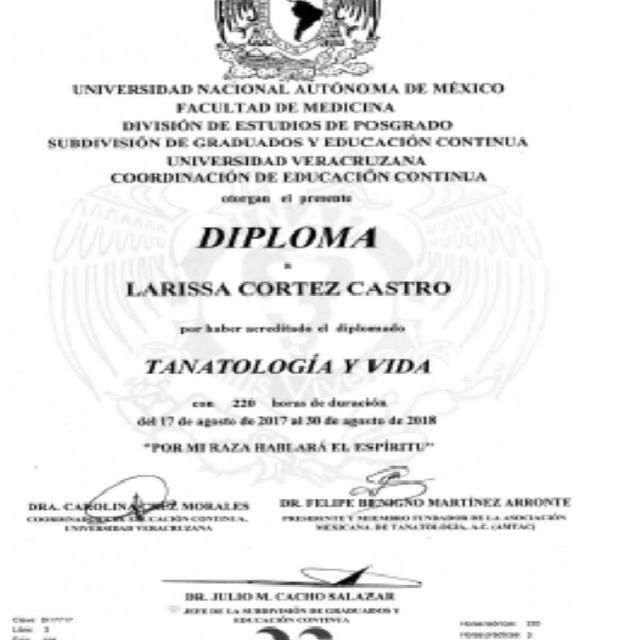Ampliar imagen: certificate 11