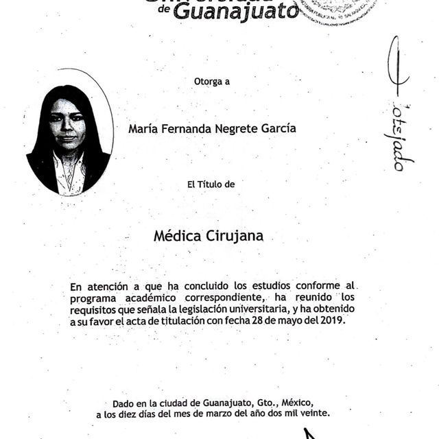 Ampliar imagen: certificate 5