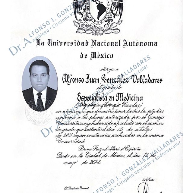 Ampliar imagen: certificate 3