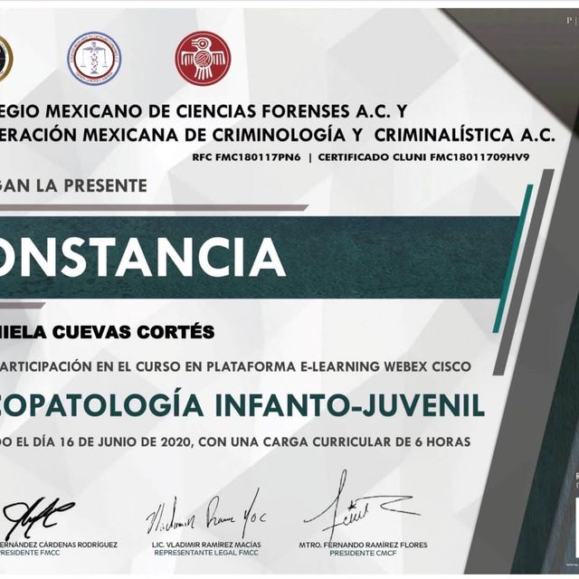 Ampliar imagen: certificate 1