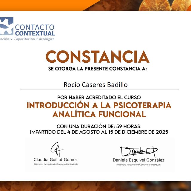 Ampliar imagen: certificate 1