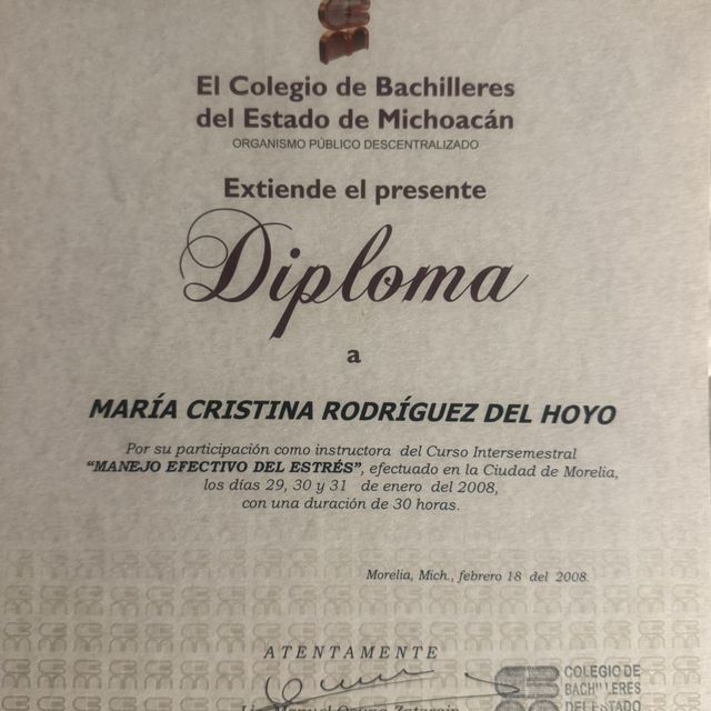 Ampliar imagen: certificate 5