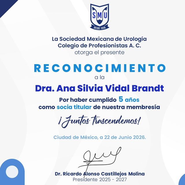 Ampliar imagen: certificate 6
