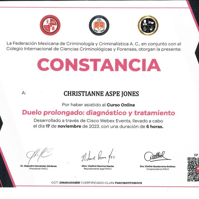 Ampliar imagen: certificate 15