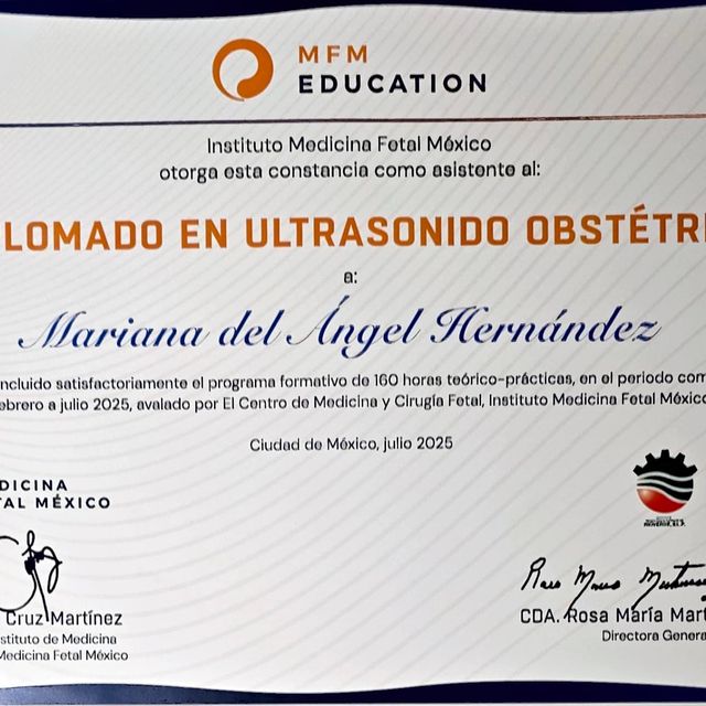 Ampliar imagen: certificate 5