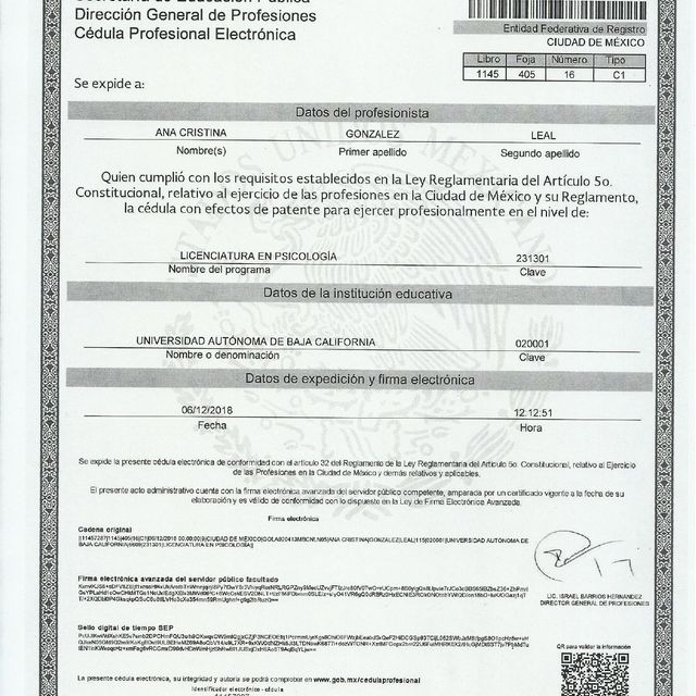 Ampliar imagen: certificate 2