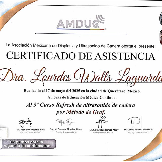 Ampliar imagen: certificate 6