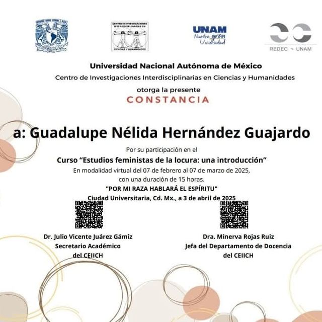 Ampliar imagen: certificate 29