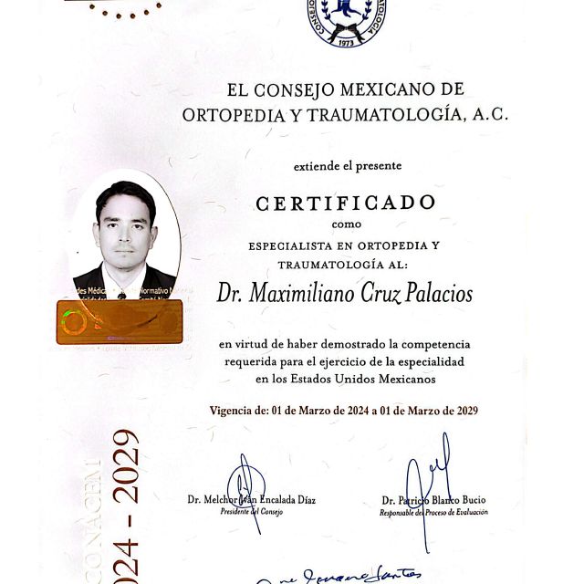 Ampliar imagen: certificate 1