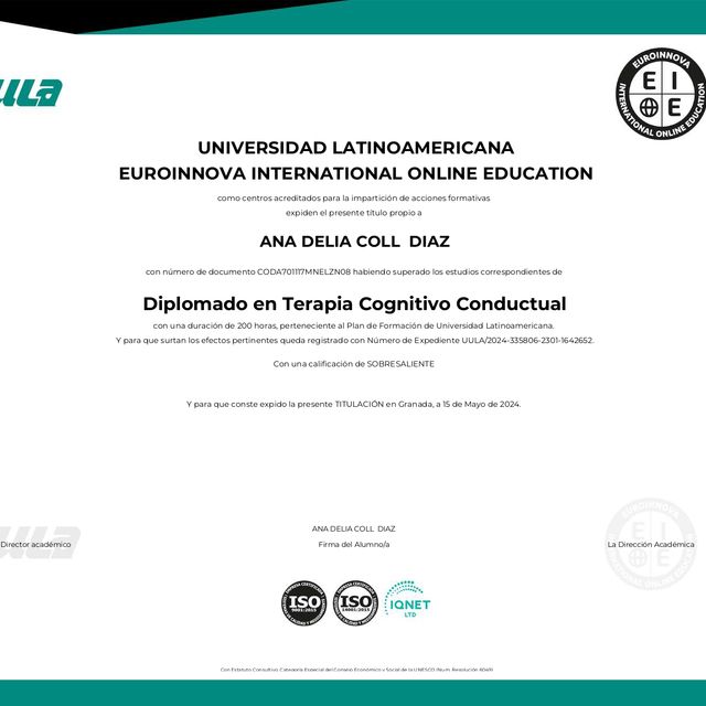 Ampliar imagen: certificate 3
