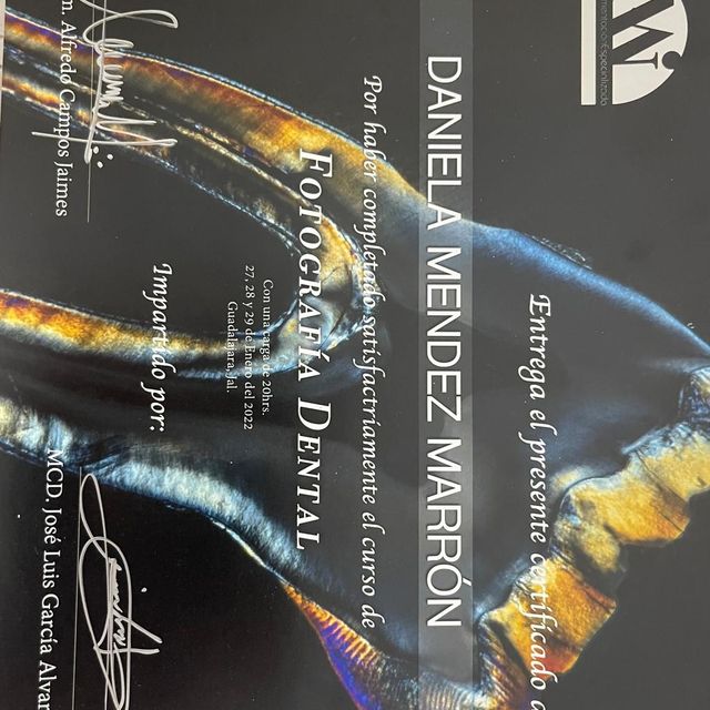 Ampliar imagen: certificate 6