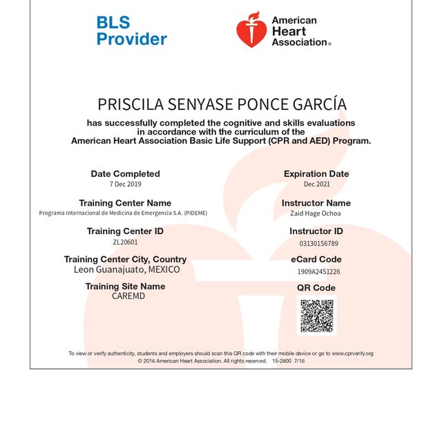 Ampliar imagen: certificate 4