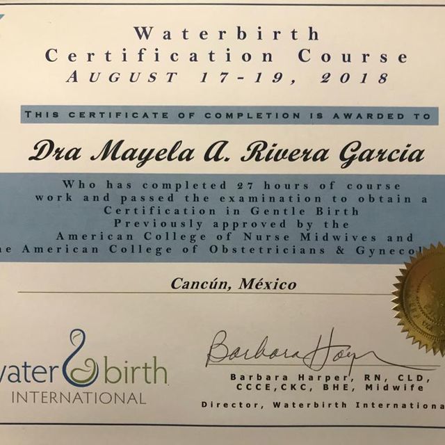 Ampliar imagen: certificate 1