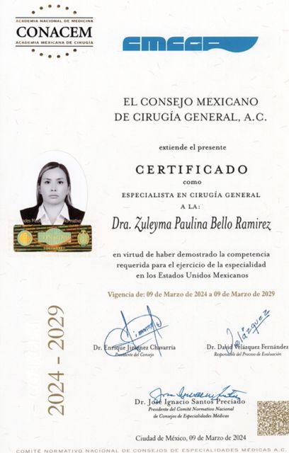 Ampliar imagen: certificate 2