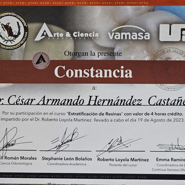 Ampliar imagen: certificate 5