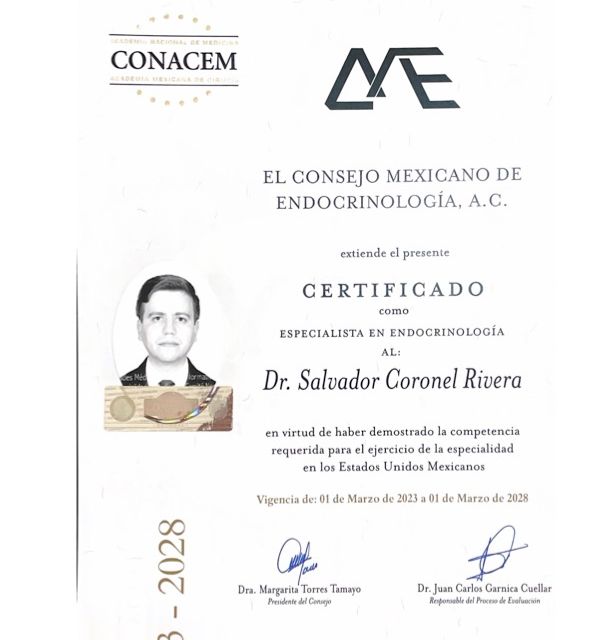 Ampliar imagen: certificate 1