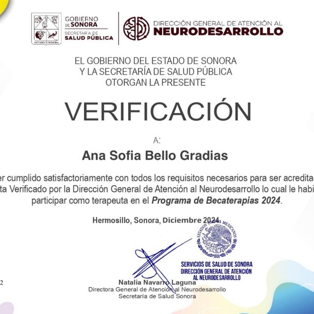 Ampliar imagen: certificate 7