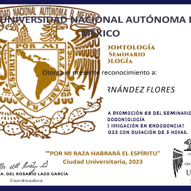 Ampliar imagen: certificate 8
