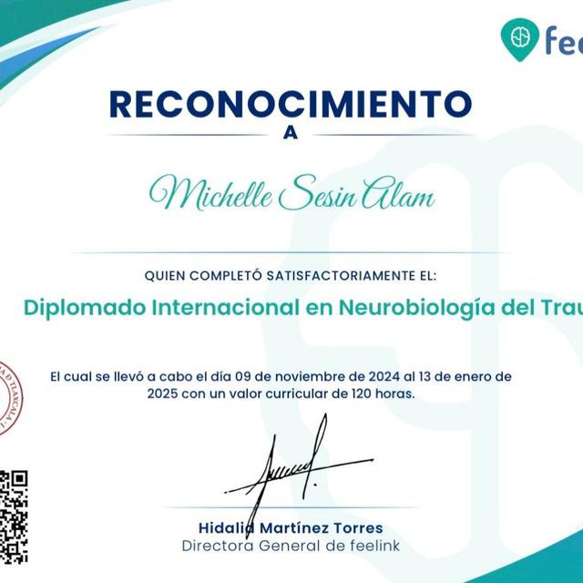 Ampliar imagen: certificate 4
