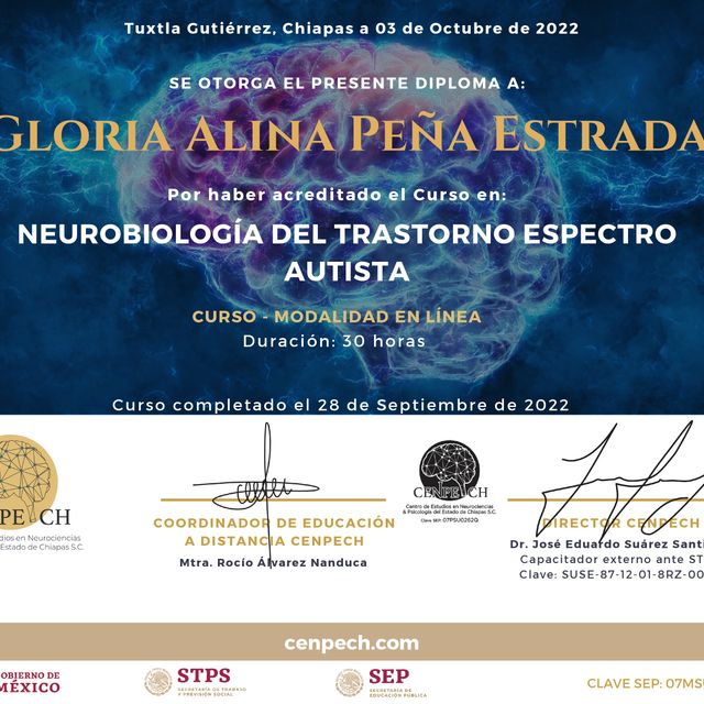 Ampliar imagen: certificate 7
