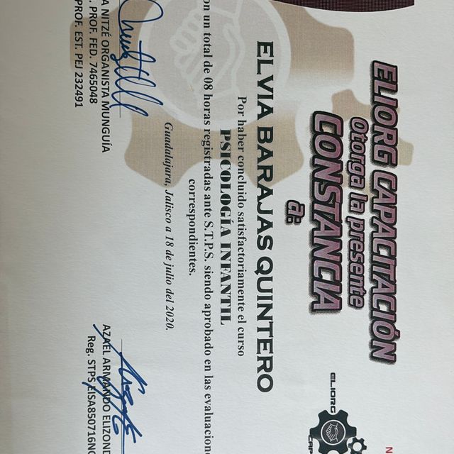 Ampliar imagen: certificate 3