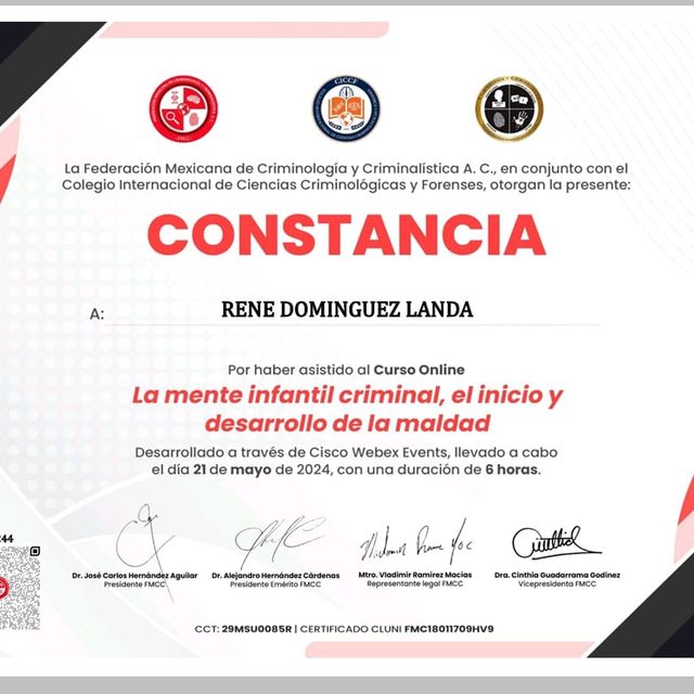 Ampliar imagen: certificate 8