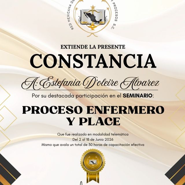 Ampliar imagen: certificate 1