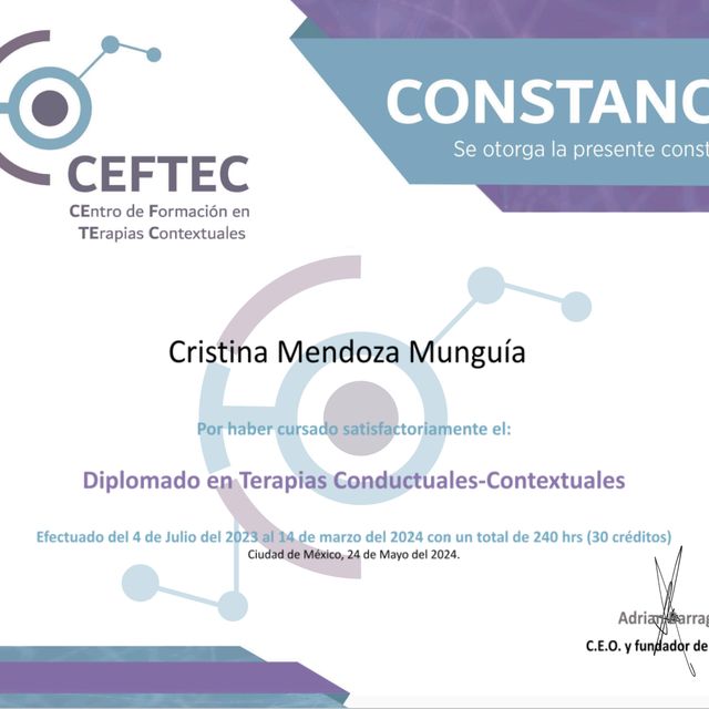 Ampliar imagen: certificate 2