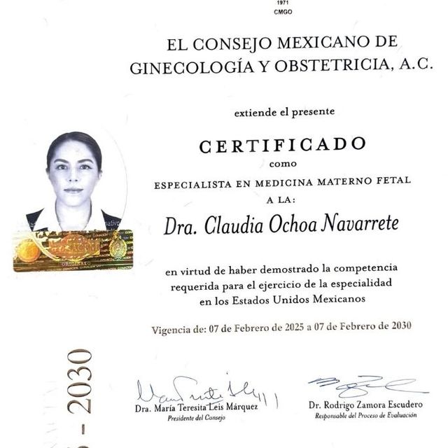 Ampliar imagen: certificate 2