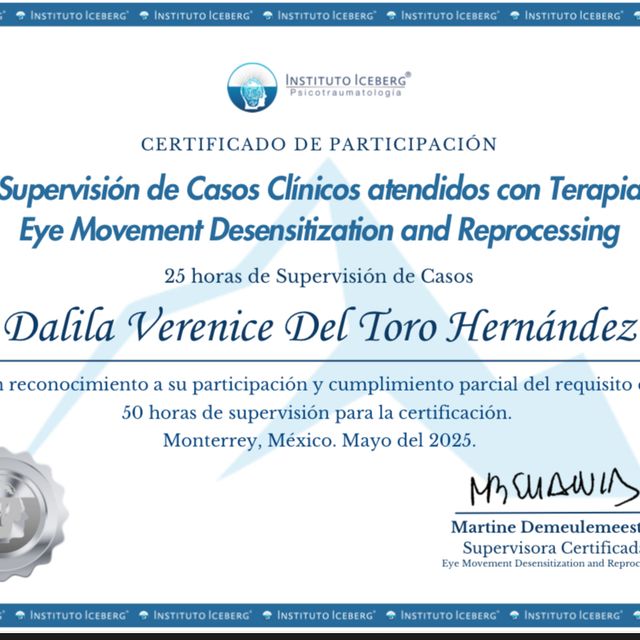 Ampliar imagen: certificate 8