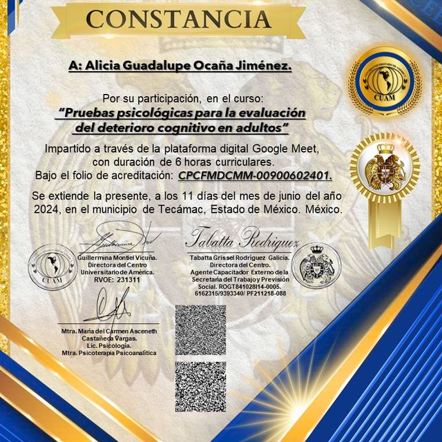 Ampliar imagen: certificate 3