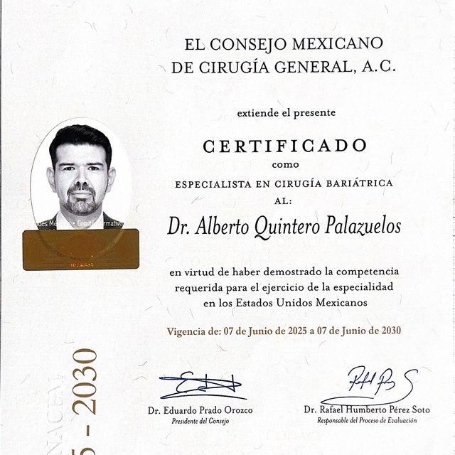 Ampliar imagen: certificate 3