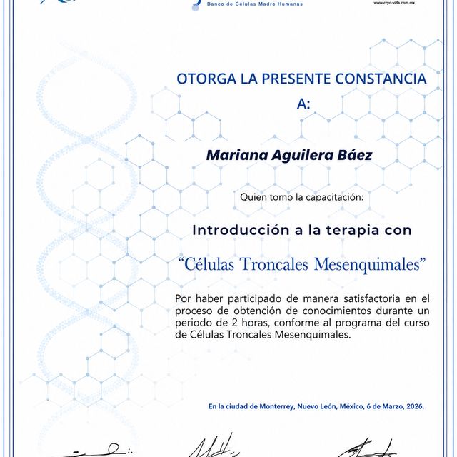 Ampliar imagen: certificate 5