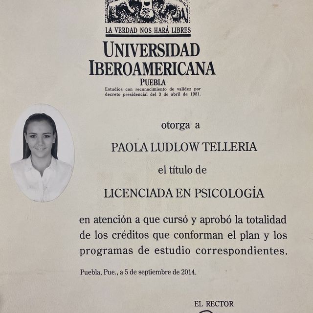 Ampliar imagen: certificate 2