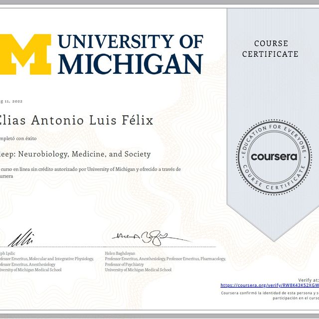 Ampliar imagen: certificate 6