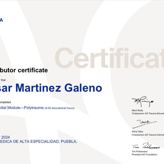 Ampliar imagen: certificate 14