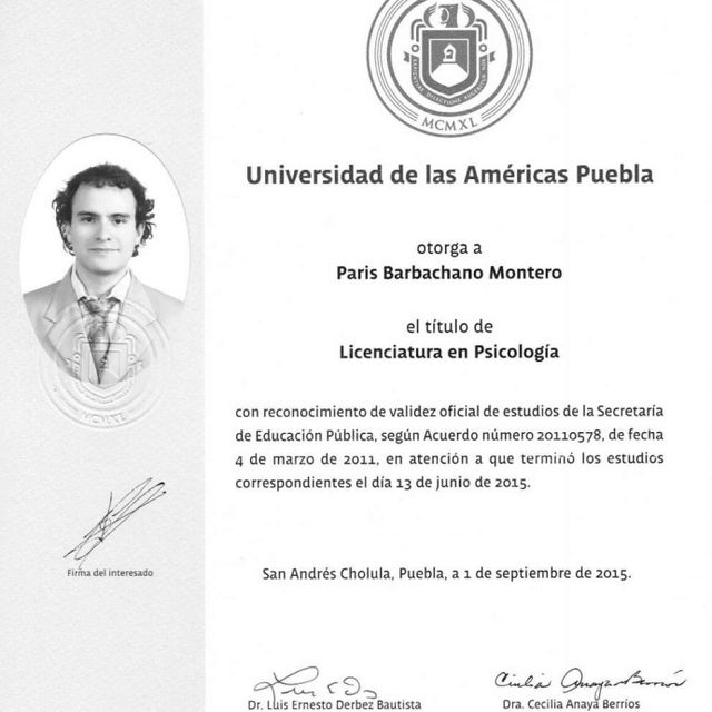 Ampliar imagen: certificate 2