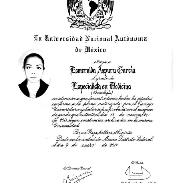Ampliar imagen: certificate 3