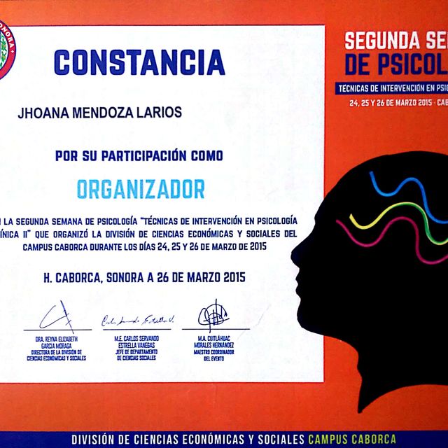 Ampliar imagen: certificate 4