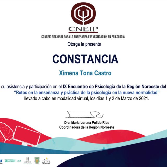 Ampliar imagen: certificate 3