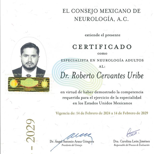 Ampliar imagen: certificate 5