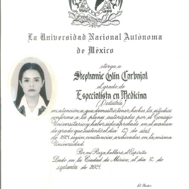 Ampliar imagen: certificate 3