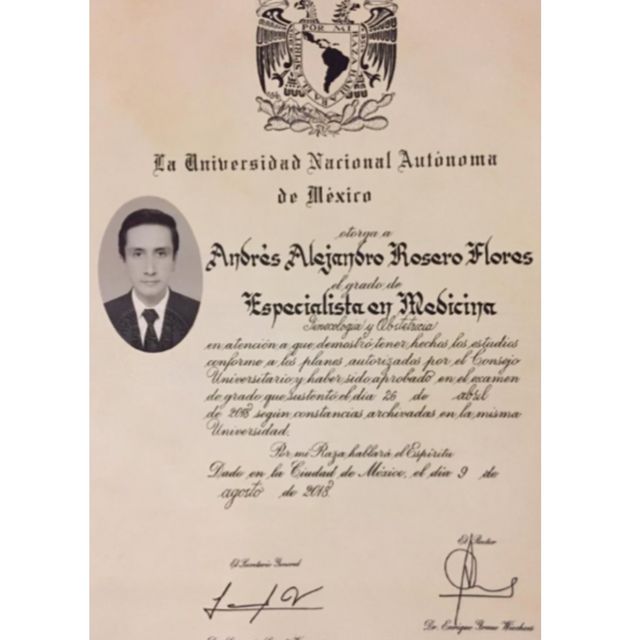 Ampliar imagen: certificate 6